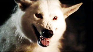 Nature Creates Killer Coyote-Wolf Hybrid That Will Survive Apocalypse